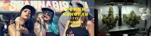 мдпв Семёнов