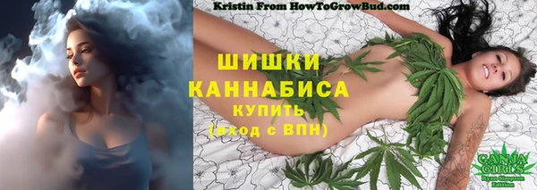 мдпв Семёнов