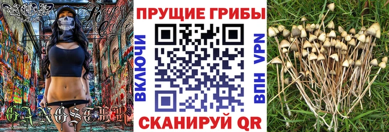 Псилоцибиновые грибы мицелий  Купить где  Дзержинск 